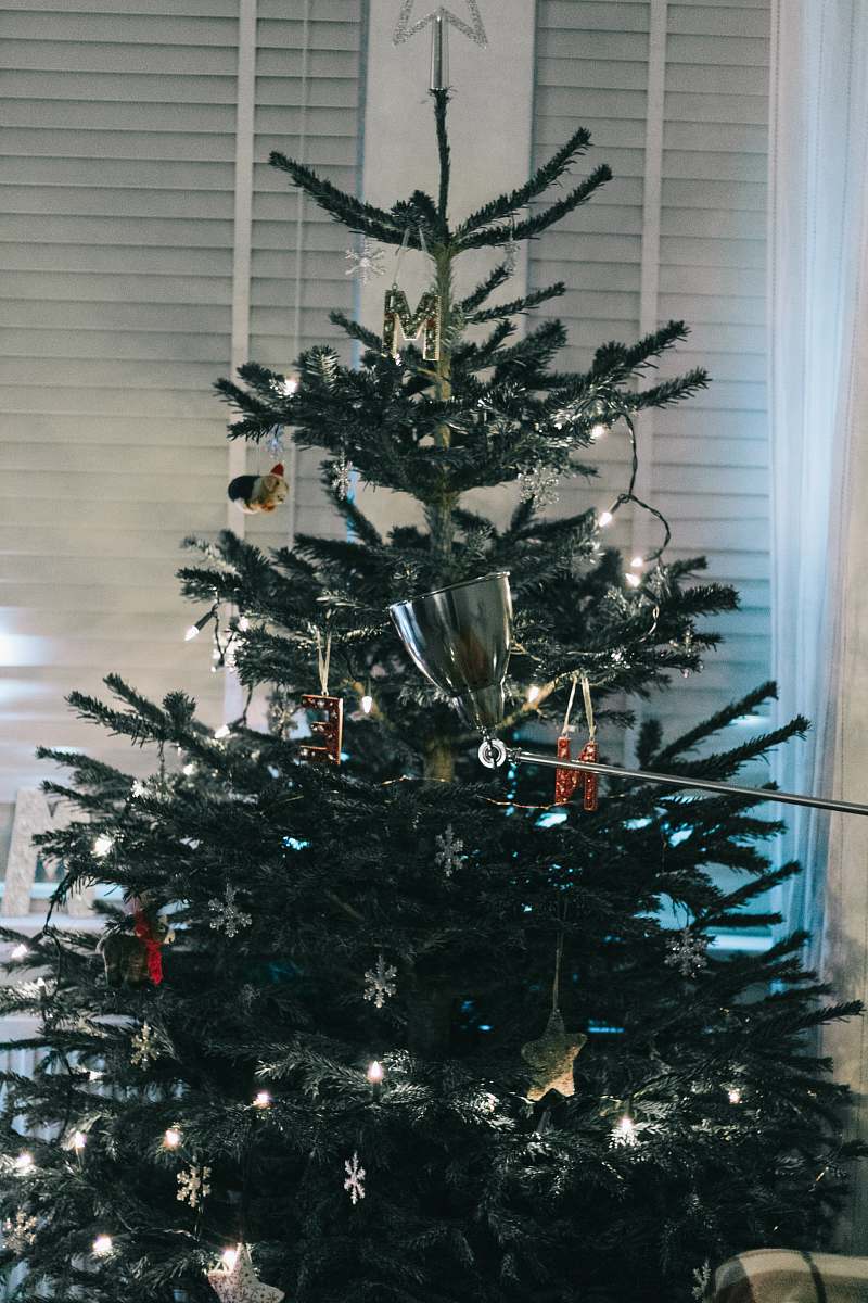 ornament green christmas tree with baubles and string lights plant